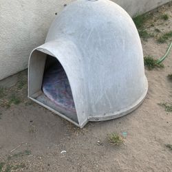 Igloo Dog House