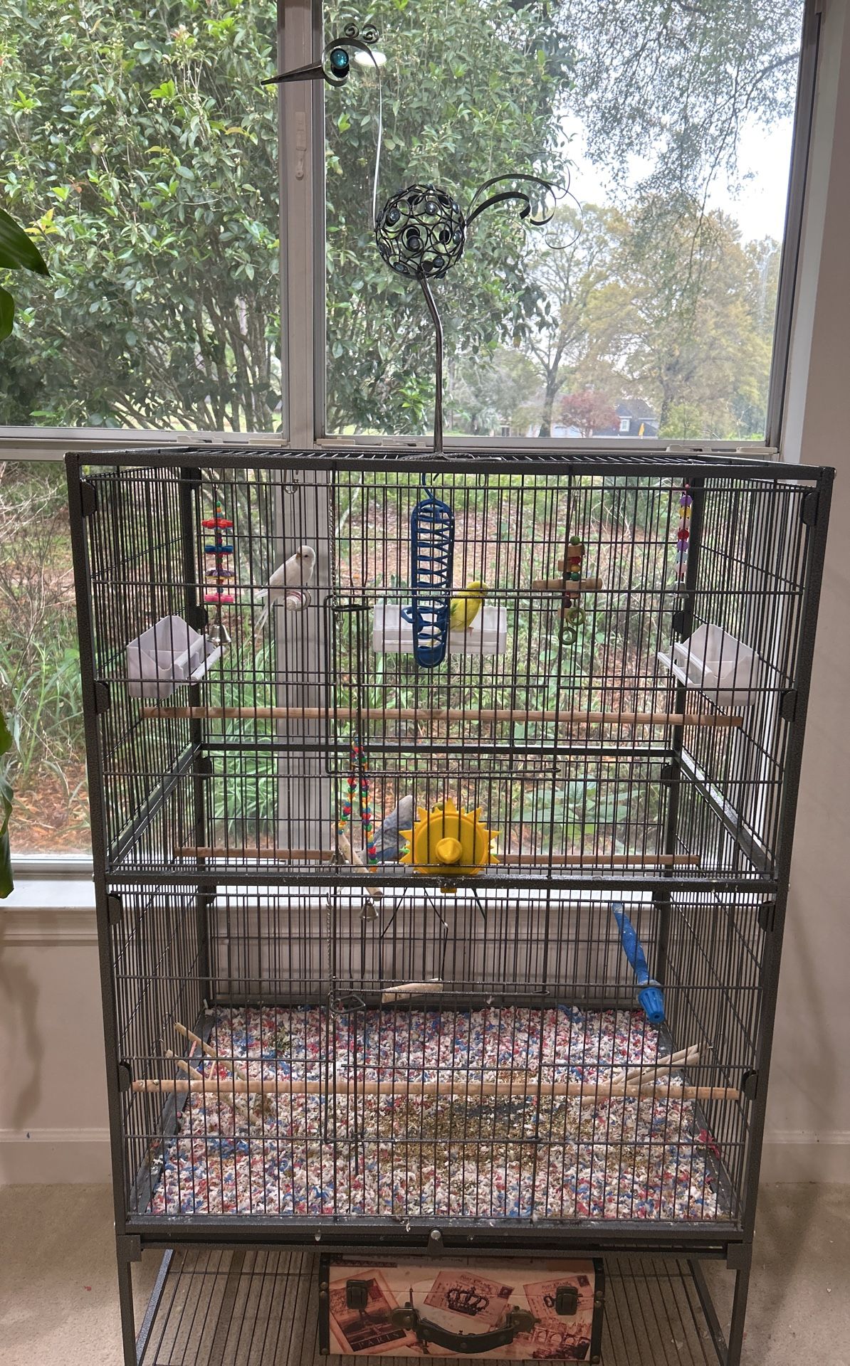 Bird Cage