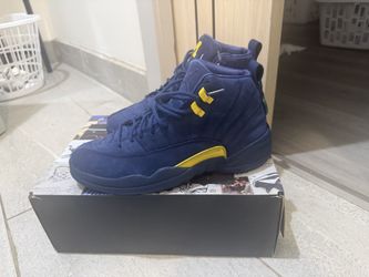 Michigan Jordan 12