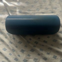 Insignia Bluetooth Speaker – $15 (Used, Works Great)