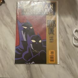 The Batman Adventures The Lost Years 