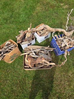 Drift Wood
