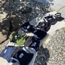 Dog Diapers Male Medium 