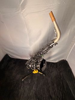 Professional Cannonball “Raven” Alto Saxophone
