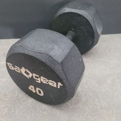 🔥 40lb / 40 Pound Sagear Hex Dumbbell Home Gym Workouts Strength Training Weightlifting Fitness Equipment Exercise CrossFit