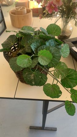 Fake plant