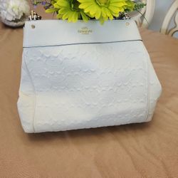 Coach lexy 2025 chain shoulder bag