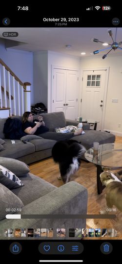 Sectional couch with storage and pullout bed