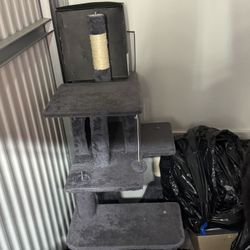 Cat Tower 