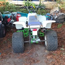 Dirt Bikes 