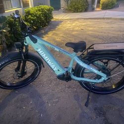 D5 ST(Zebra ST) / Premium All-terrain Electric Fat Bike