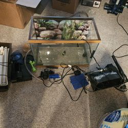 Aquarium and Set-up 20G