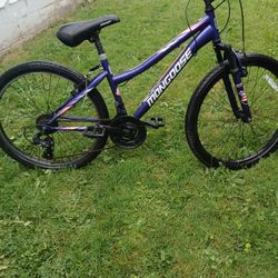 24 In Mongoose Bike 