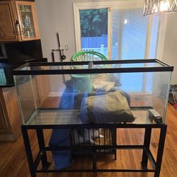 Fish Tank 