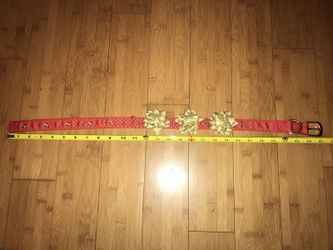 Dog collar 27inches for the holiday