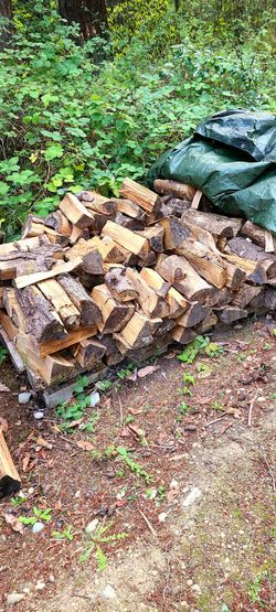 Firewood Half cord