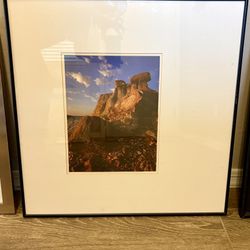 Metal Framed And Matted Nature Scene 24”x 24”