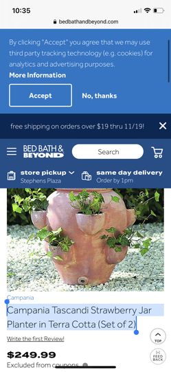 Campania Tascandi Strawberry Jar Planter in Terra Cotta (Set of 2)