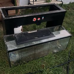 Fish Tank