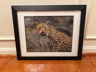 Free - Leopard - Glass Frame Included