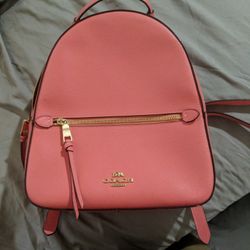 Pink Coach Backpack 