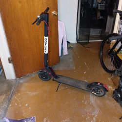 Gotrax Scooter 
