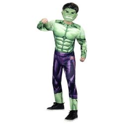 Hulk Costume 