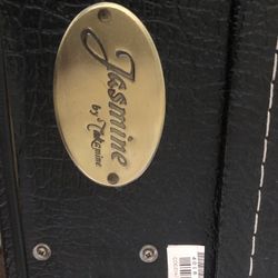 Jasmine Tekamine  Guitar And Pevey Amp 