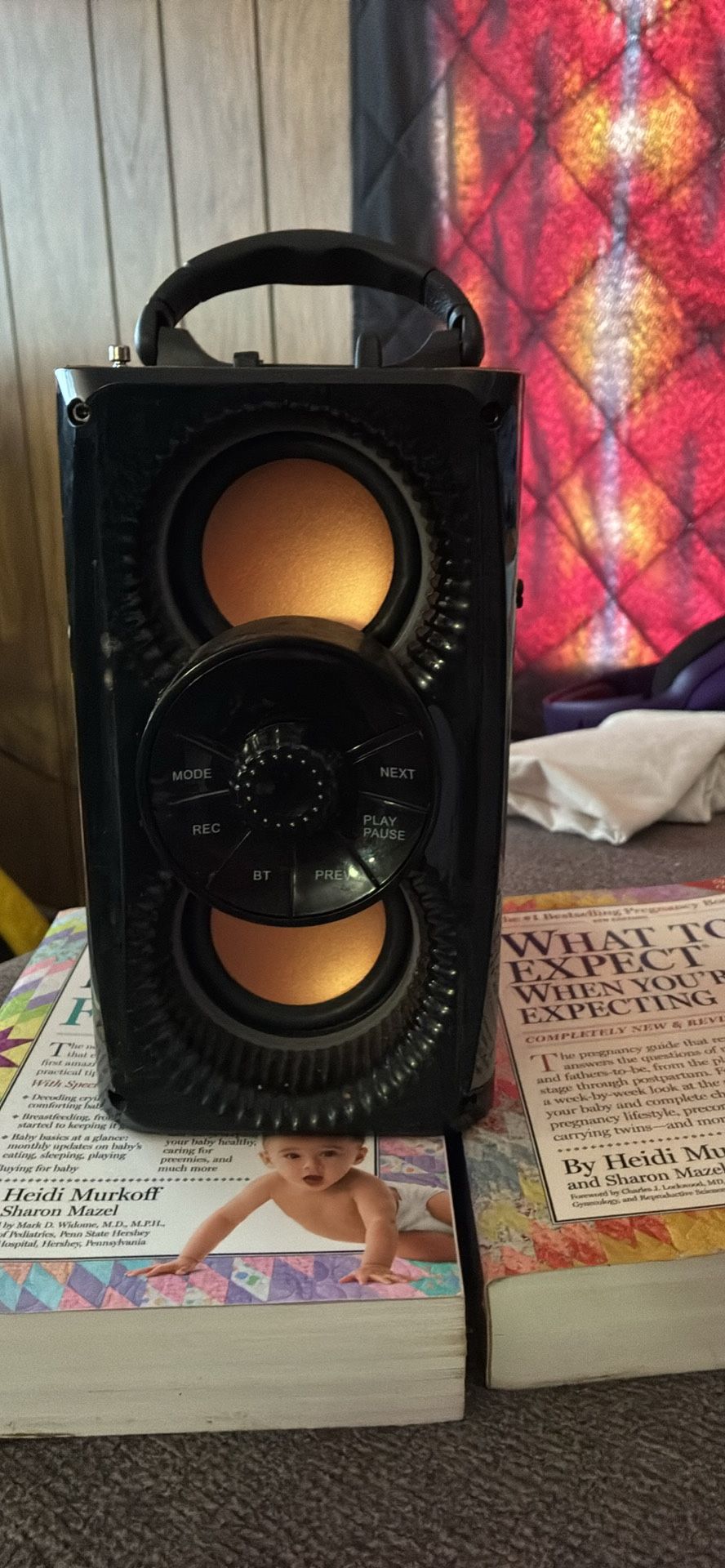 Bluetooth Speaker