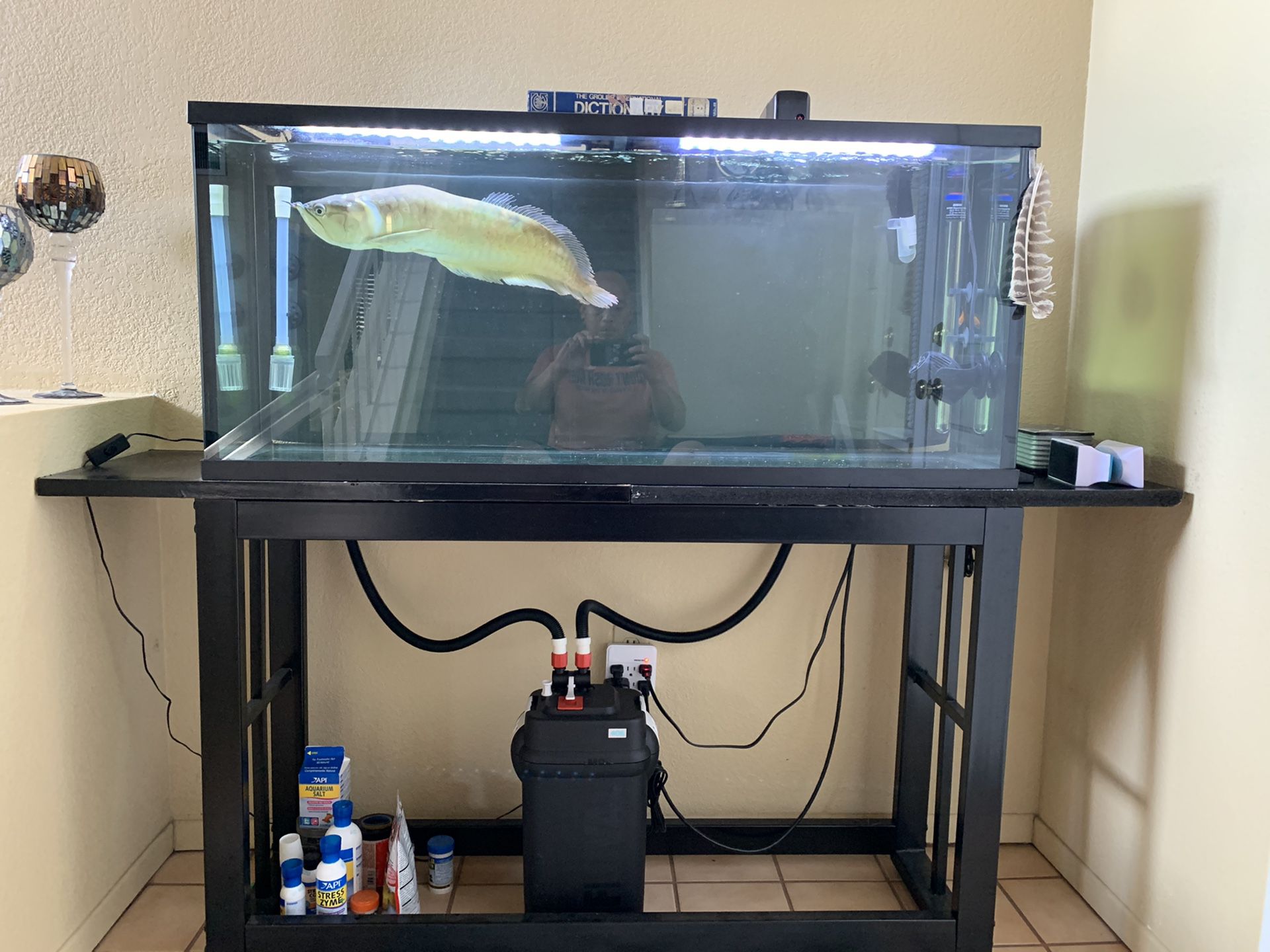 Aquarium Tank with Lid, Metal Stand & Fluval canister. 55 gallon