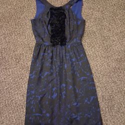 J. Crew Dress