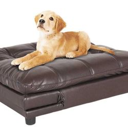 Dog Futon