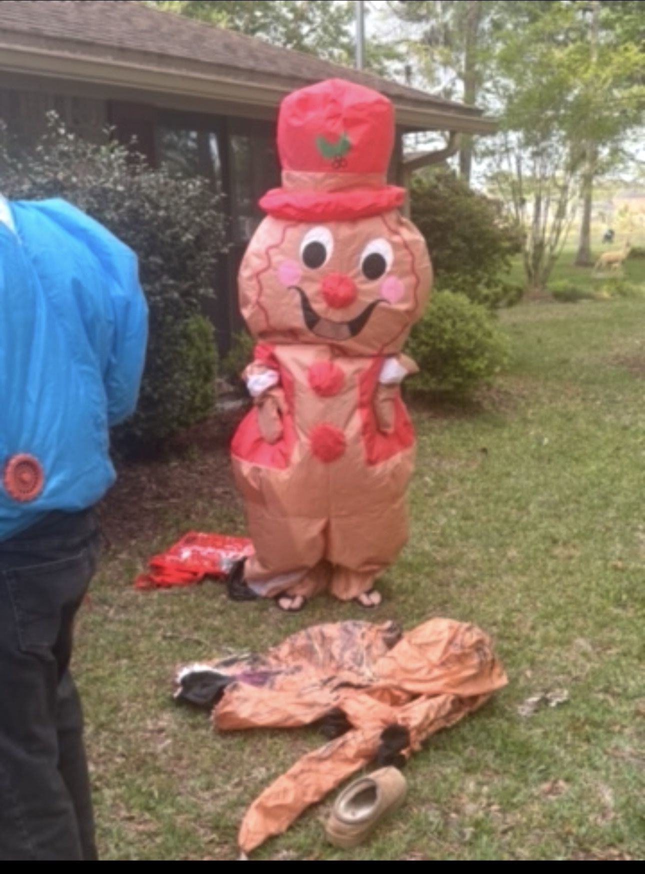 Ginger bread costume