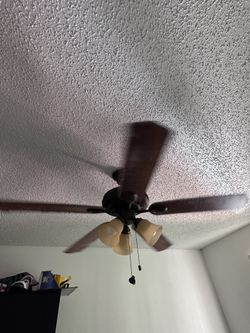 Fan Hampton Bay