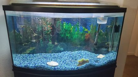 Aquarium PM FOR INFO