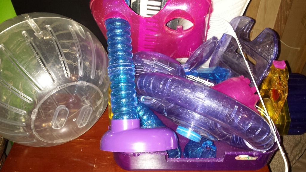 Hamster playing ball