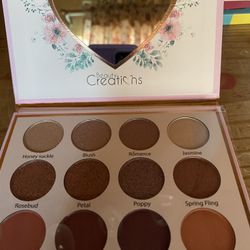 Paletas De Maquillaje Each $20