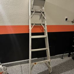 Ladder 6 Ft