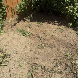 Free Mulch