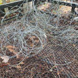 FREE-Pile Of Barbed Wire
