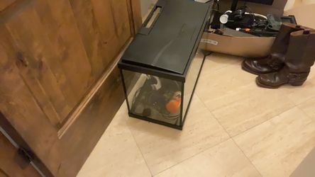 Glass Aquarium Tank with Black Lid