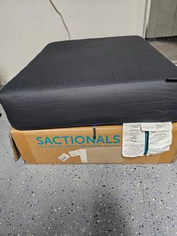 Newer LoveSac Sectional  Standard Cushions (6) & Covers