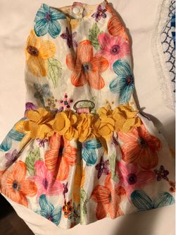 Dog dress