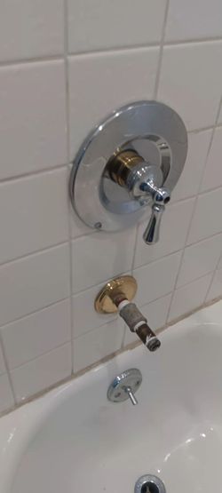 Remplazar  shower valvula s