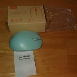 Seenda Wireless Mouse (NEW)