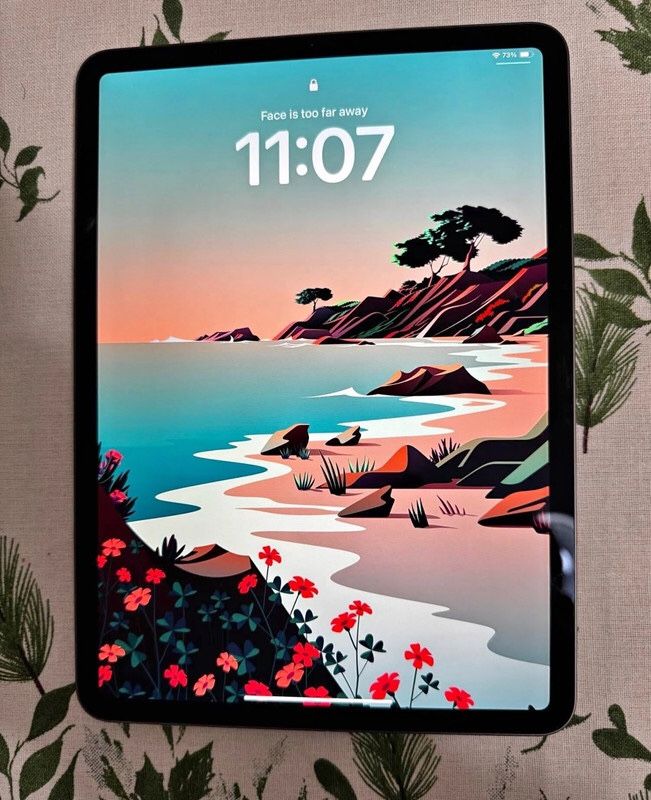 iPad Pro 11 inch (2nd Gen) Wifi 128 GB