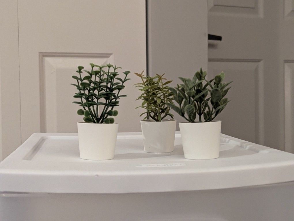 Set of 3 Mini Faux Plants – Simple, Clean, and Aesthetic