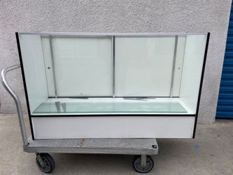 6 ft display case