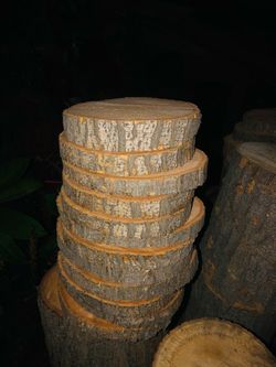 Wood Decoration Slices