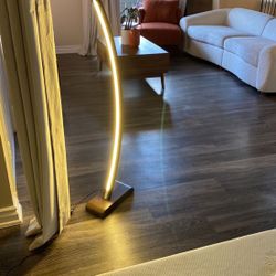Artistic Mid Century Modern Floor Lamp